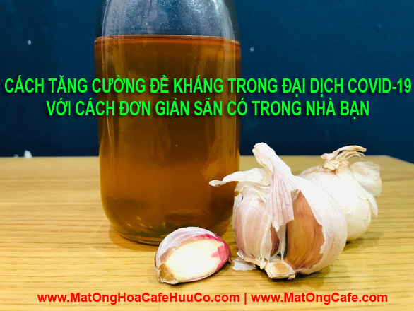 Tỏi ngâm mật ong tăng đề kháng trong đại dịch