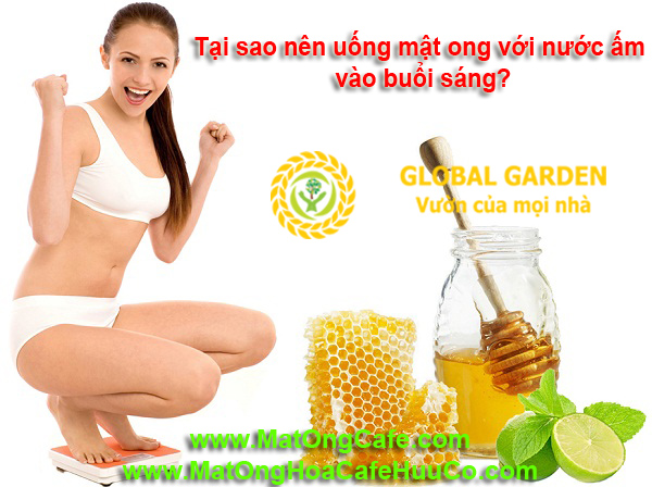 Tại sao nên uống mật ong với nước ấm vào buổi sáng?