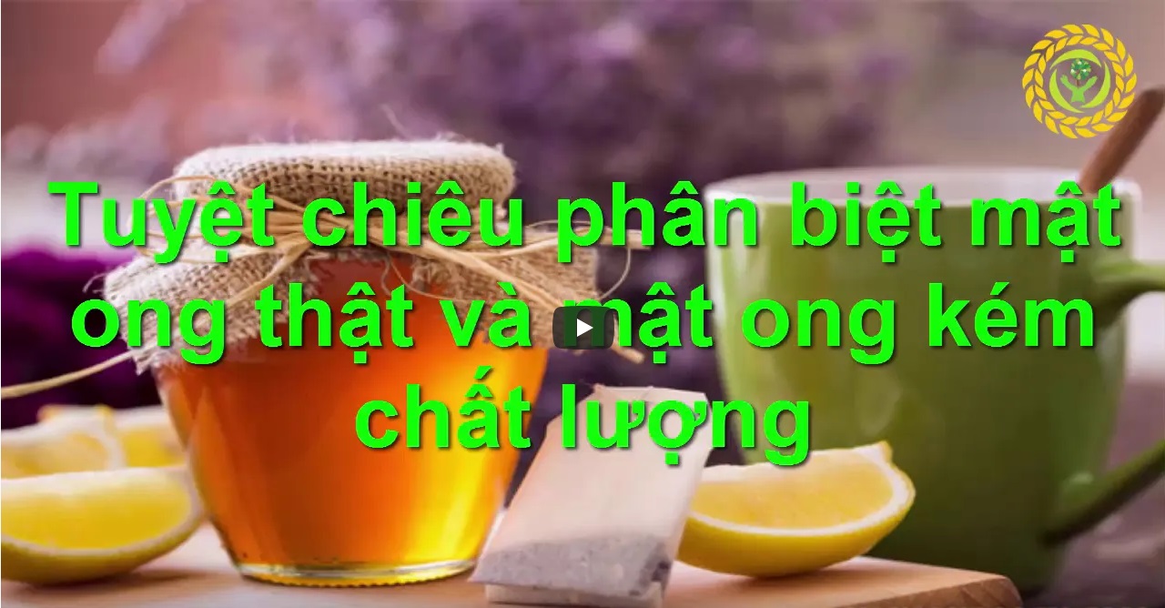 tuyet-chieu-thu-mat-ong